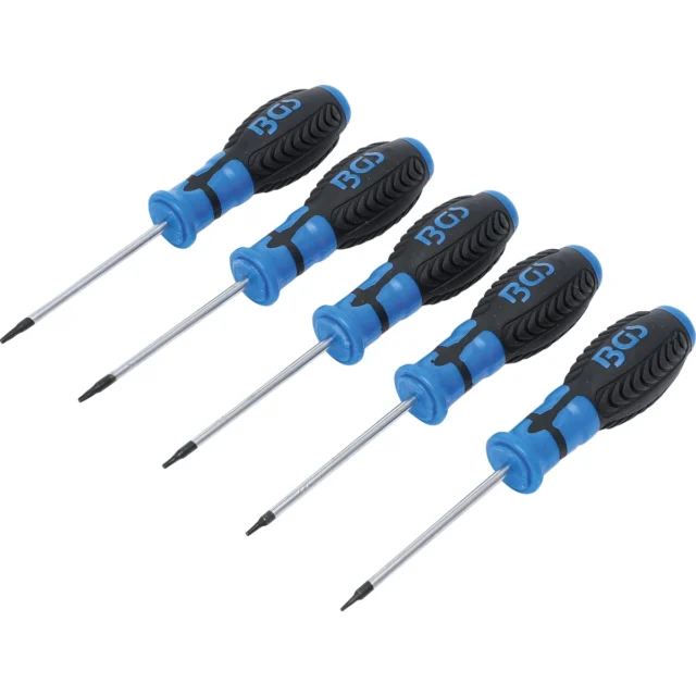 JUEGO DE DESARMADORES | PERFIL EN T (PARA TORX) | T6 - T10 | 5 PIEZAS