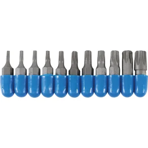 JUEGO 11 PIEZAS DE PUNTAS ESPECIALES TORX (T-STAR (TORX)) 1/4"
